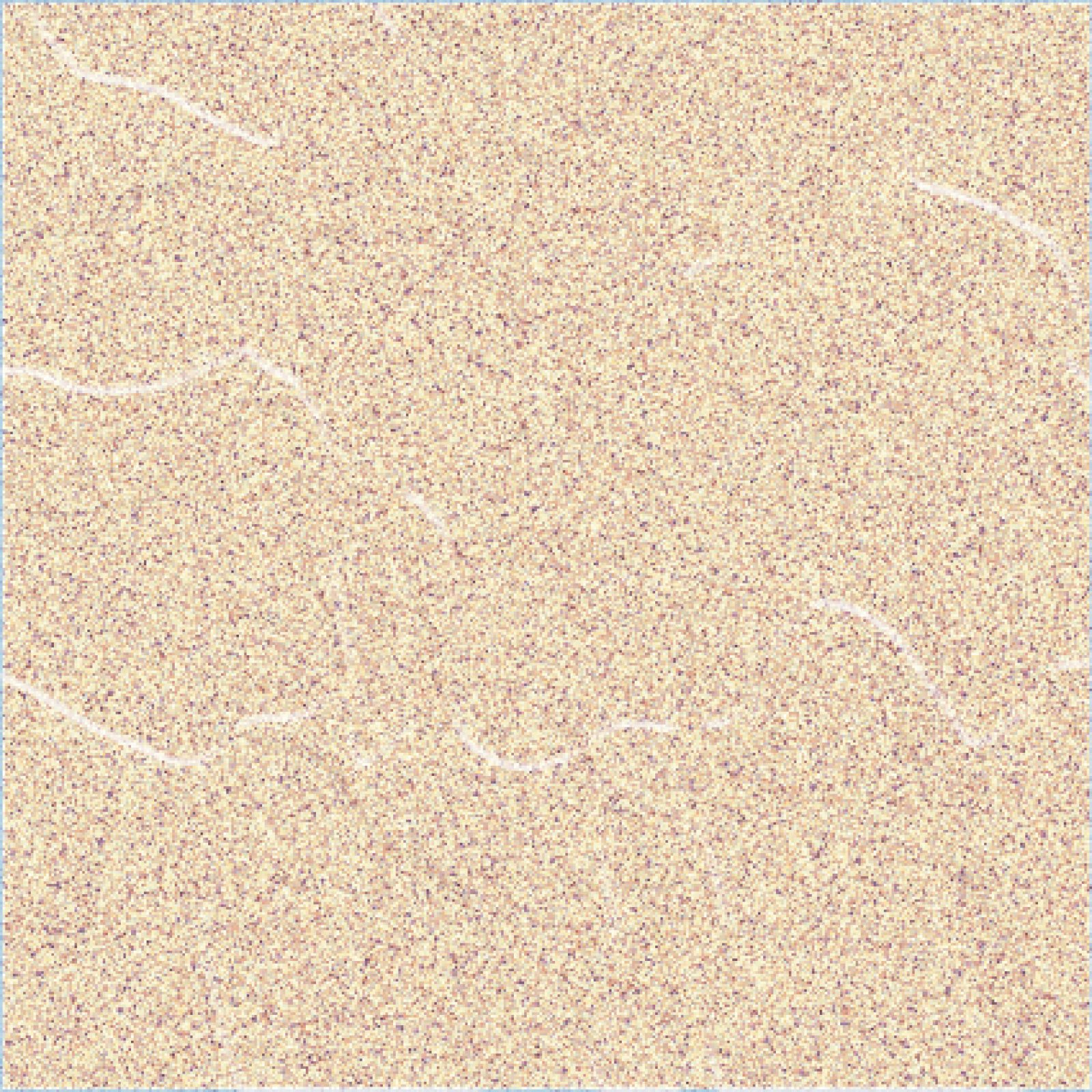 Asia Tile Roxy Brown 20x20